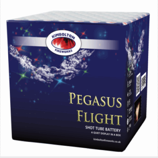 Pegasus Flight